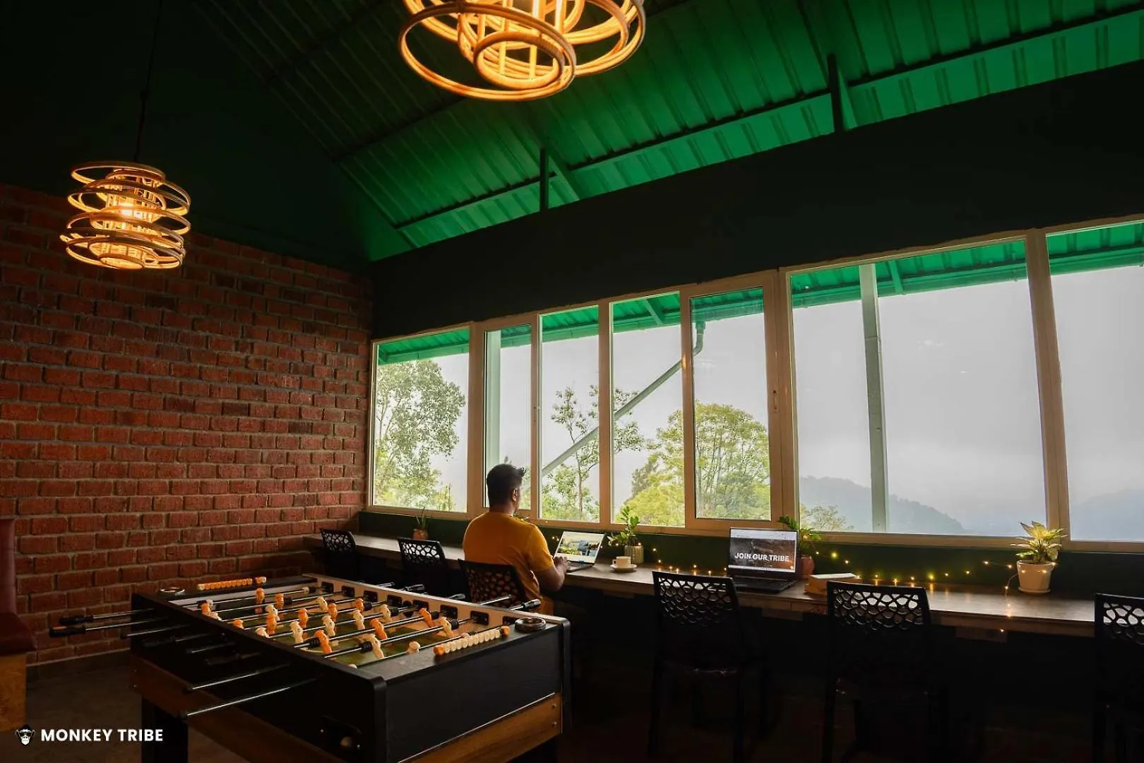 Monkey Tribe Munnar Hostel India